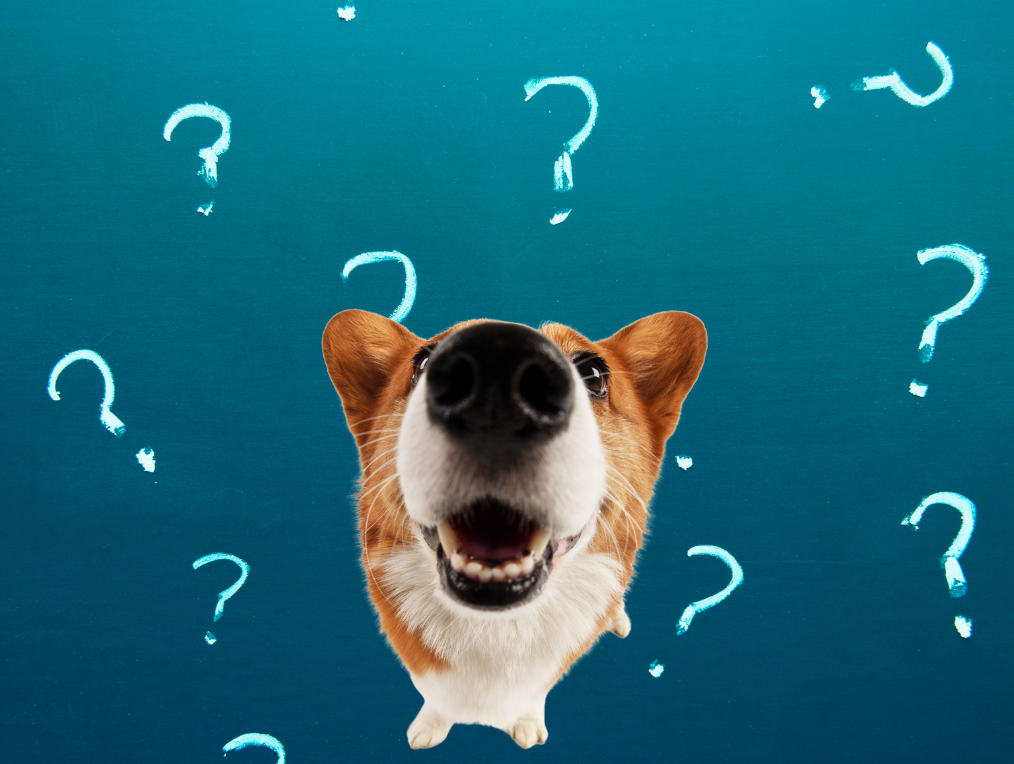 Come funziona l'Addestramento collaborativo?